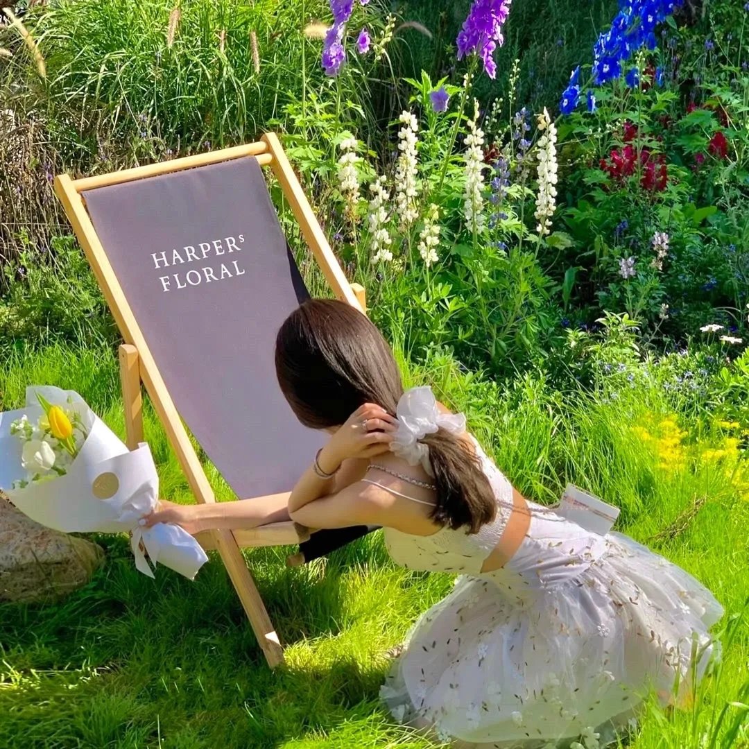 猫和老鼠:胡桃夹子的传奇