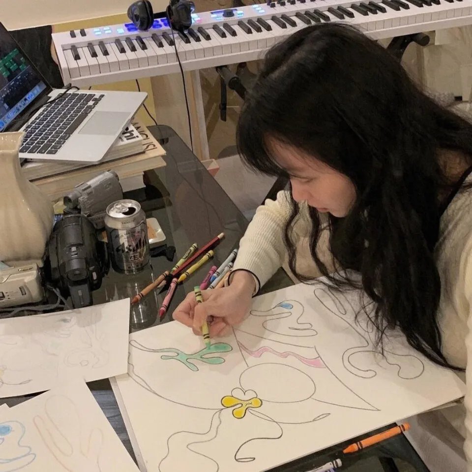 小野猫公路历险记